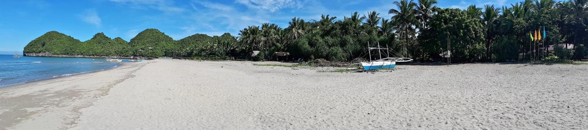 Big Bamboo Beach Resort Sipalay Luaran gambar