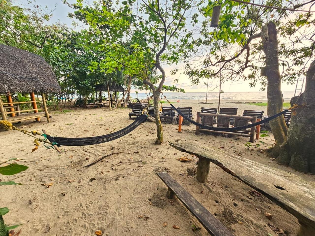 Big Bamboo Beach Resort Sipalay Luaran gambar