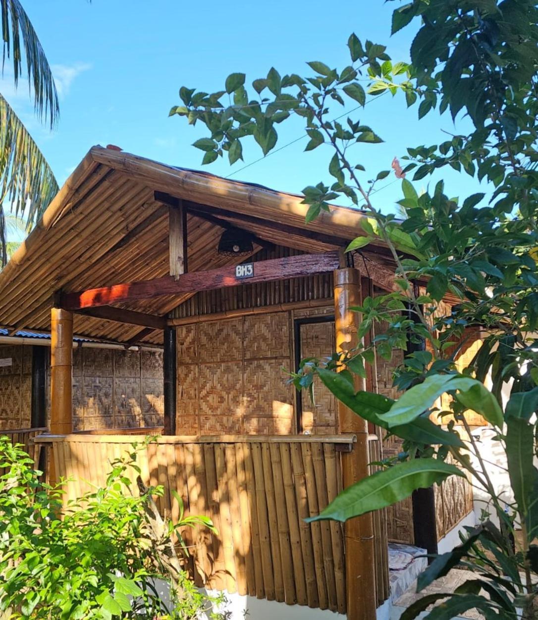 Big Bamboo Beach Resort Sipalay Luaran gambar